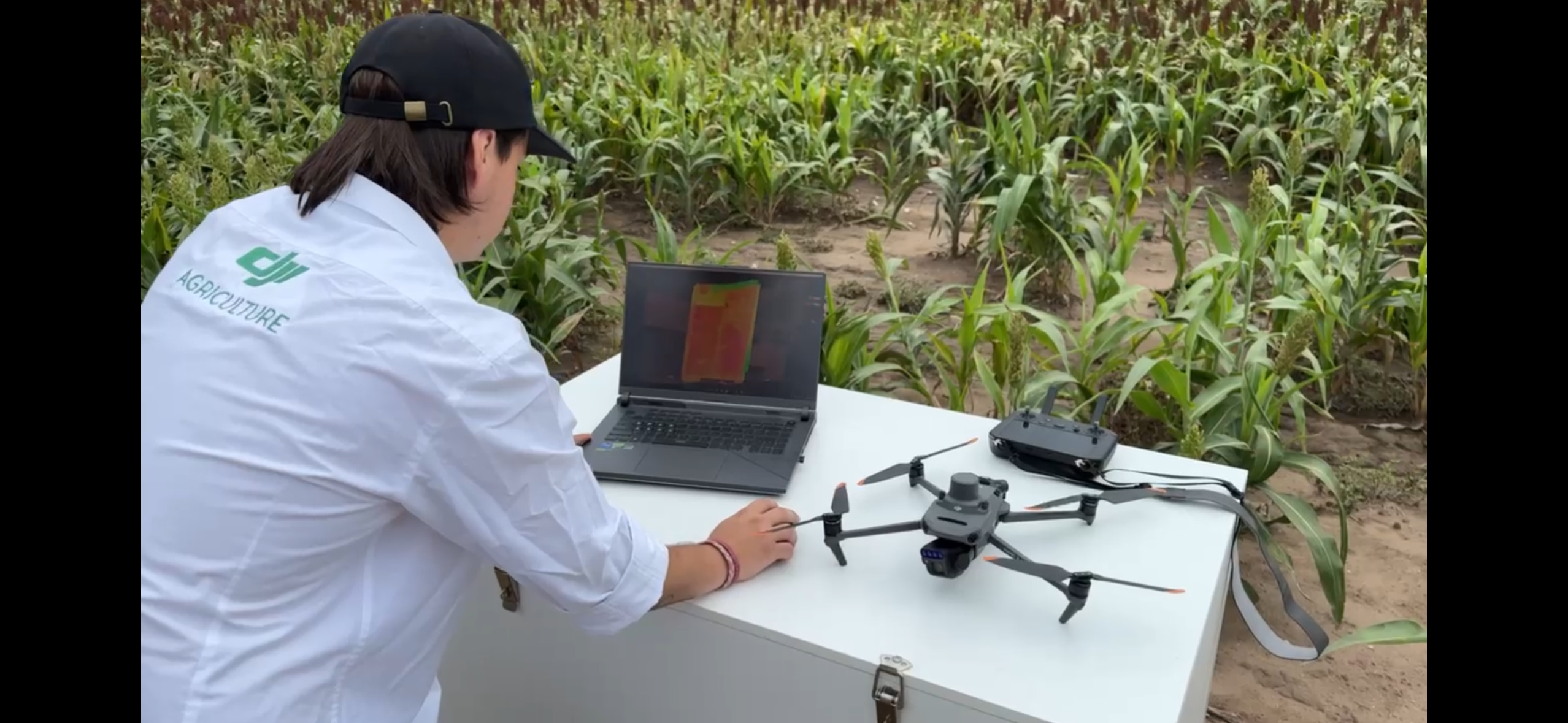 Mapeo y prescripciones